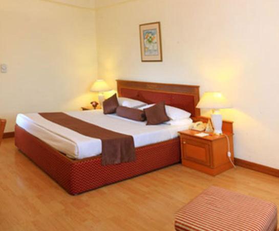 Hotel Hridey Inn Nowe Delhi Pokój zdjęcie